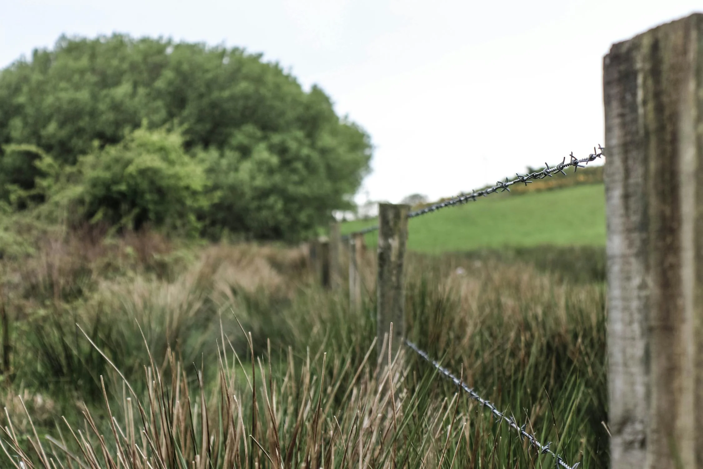 Personne utilisant un ordinateur portable à la maison pour s'engager dans le volontariat en ligne.